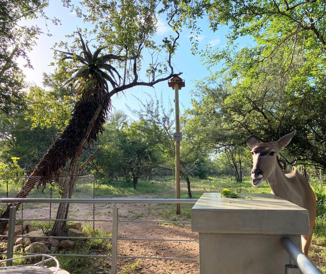 Kruger'S Keep - Luxury Couples Haven Villa Марлот Парк Екстериор снимка